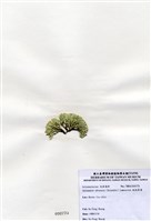 藏品(鈍乳節藻)的圖片